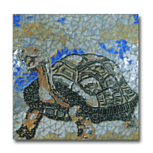 1962 - Turtle