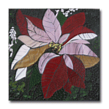 1969 - Poinsettia