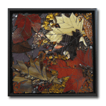 1986 - Fall